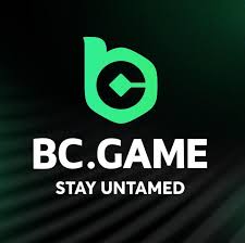Exploring BC.Game Brazil's Premier Online Casino Experience